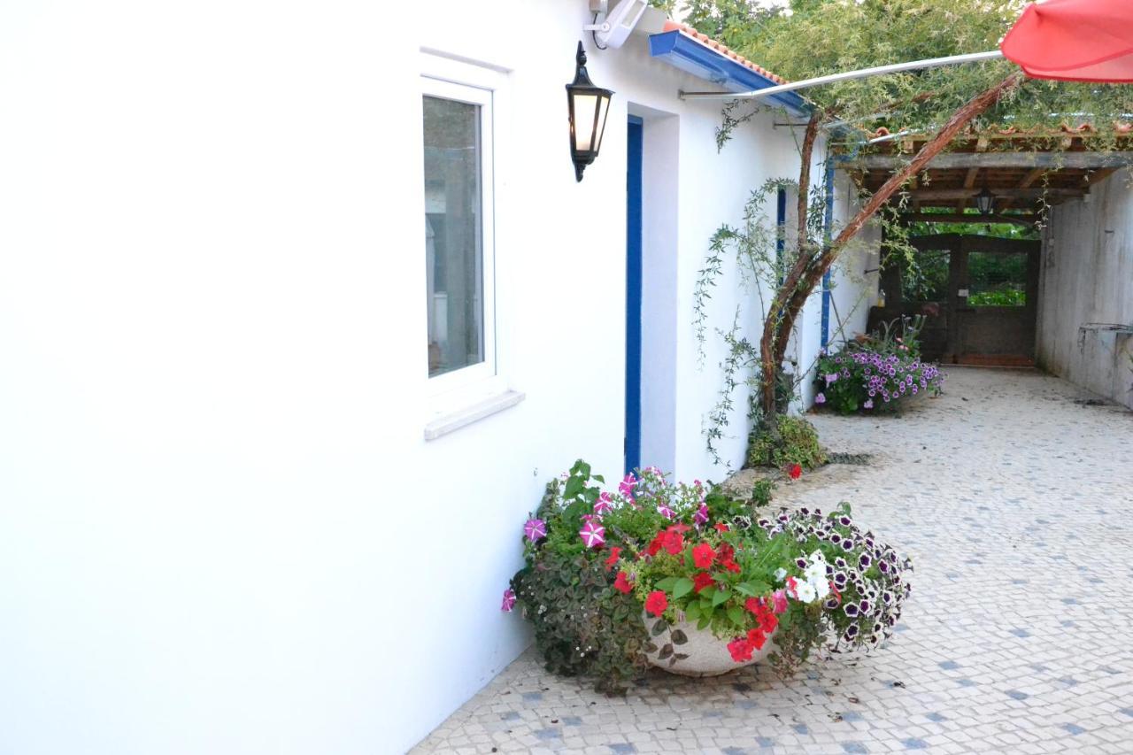 Bed and Breakfast Quinta D'Avo Amelia Alquerubim Екстер'єр фото