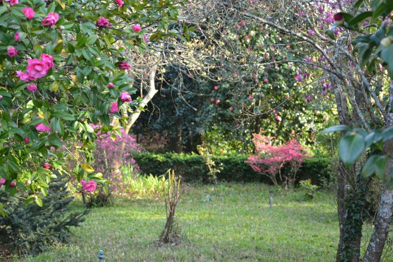 Bed and Breakfast Quinta D'Avo Amelia Alquerubim Екстер'єр фото